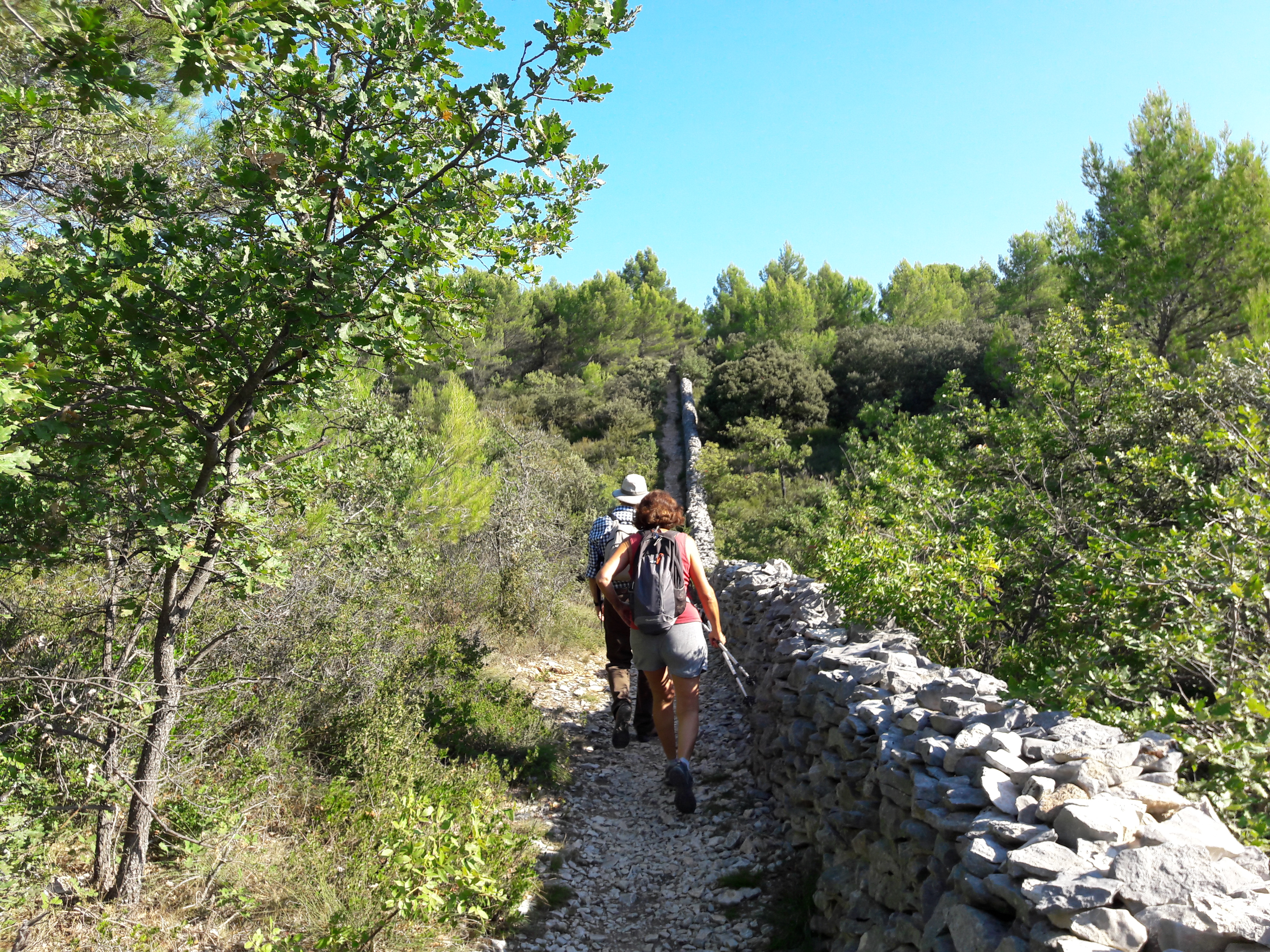 Mur de la peste