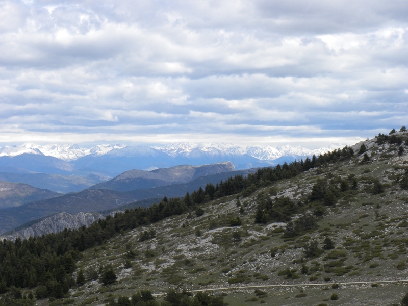 DSCN6383_reduit