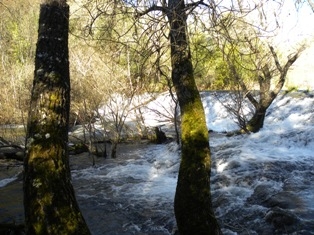 VallondelaBresque008_reduit
