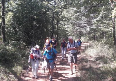 Chartreuse de Montrieux