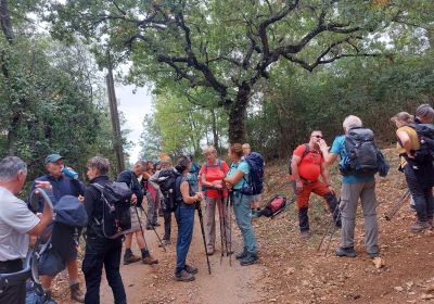 Du chemin du Moulin au Tombereau