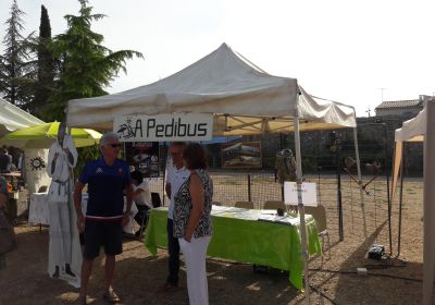Forum des Associations