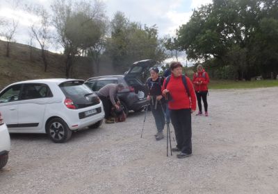 La forêt de Gréasque