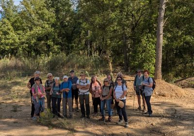 La Ste Victoire vue de Peynier 1