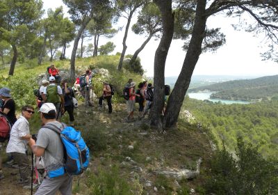 Les collines de la Roque d'Anthéron