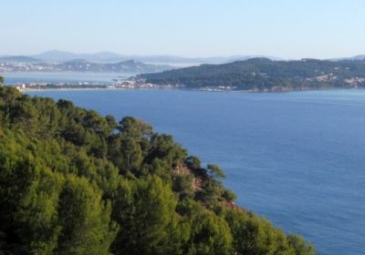 MN - La Seyne sur Mer - 13 Décembre 2025 -