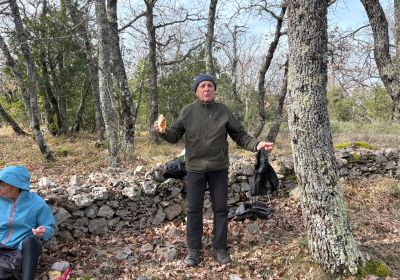 Rougiers - Les 4 Chênes.